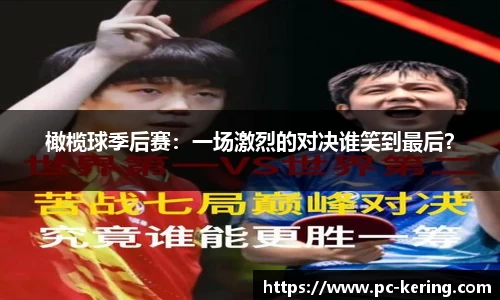 开云体育官方网站