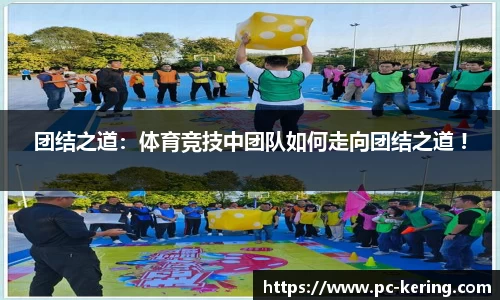 开云体育官方网站